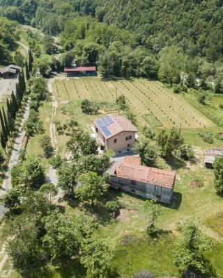 Podere Groppini