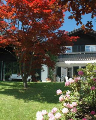 Ferienhaus Nest