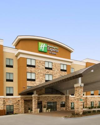 Holiday Inn Express Hotel & Suites Waco South, an IHG Hotel