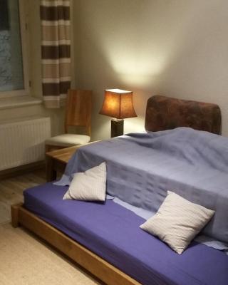 1-Raum Wohnung Eiche