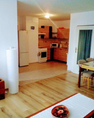 apartmán U parku
