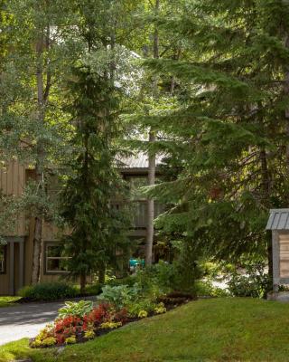 Forest Trails by Whistler Premier