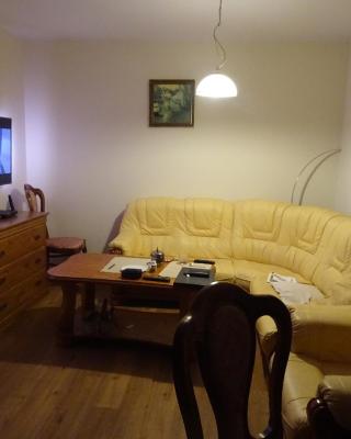 Apartament w centrum, garaż i jakuzzi w cenie