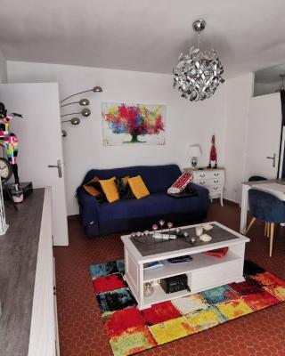 Appartement Charmant à Collioure