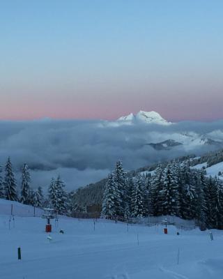 Avoriaz le M1212