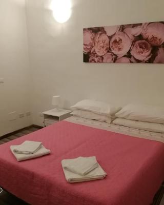 Casa Viorica