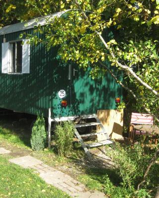 Up'Lodge