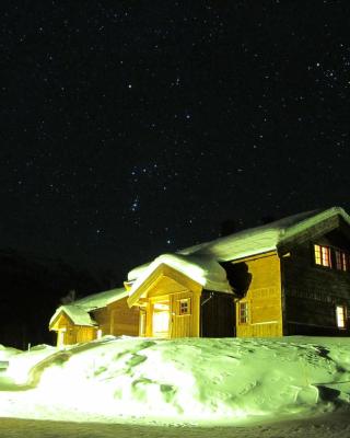 Hemsedal Høyfjellssenter