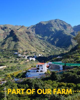 Casa Camino Tamadaba