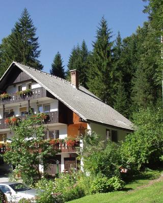 Accommodation Destina, LAKE BOHINJ