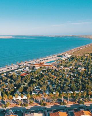 TAIGA Delta de l'Ebre