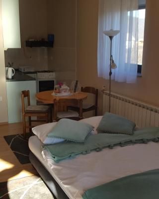 Studio apartman Salopek