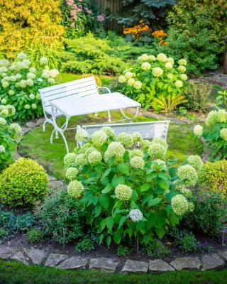 City Center Garden Camping