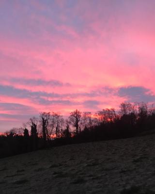 Forest View - Castlewellan, County Down