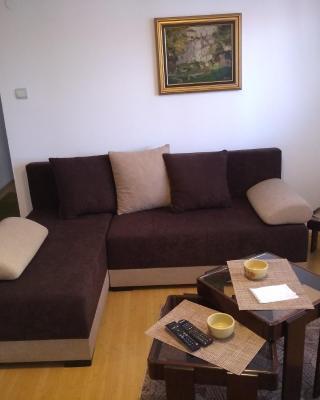 Apartment Vojinovic