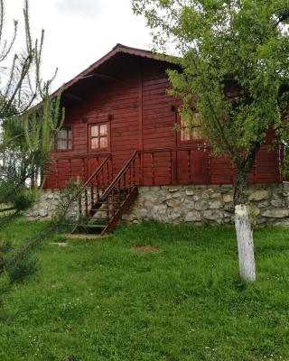 Pensiunea Gernik 100