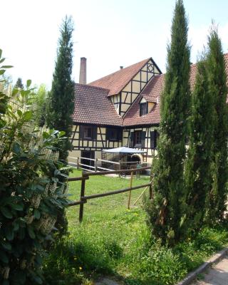 Maison de vacances Alsace - Ferienhaus Elsaß - Holiday house Alsace