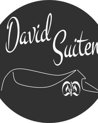 DAVID SUITEN