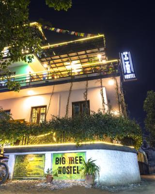 Big Tree Hostel