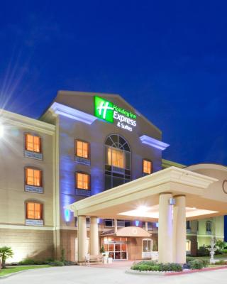 Holiday Inn Express Hotel & Suites Terrell by IHG