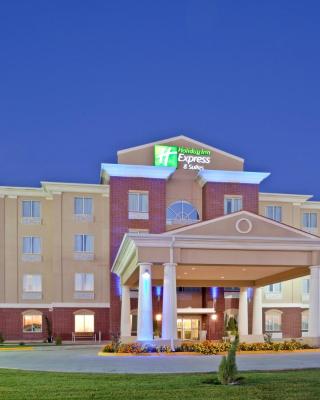 Holiday Inn Express Hotel & Suites Dumas by IHG