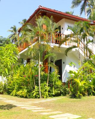 ANB Surf View