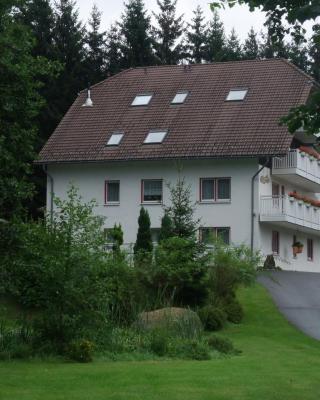 Ferienhaus Hubertus in Elend mit Balkons