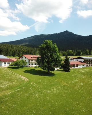 Osserhotel - B&B am Osser
