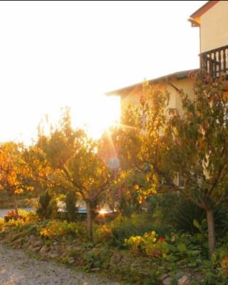 Ferienwohnungen Ödenburgerhof