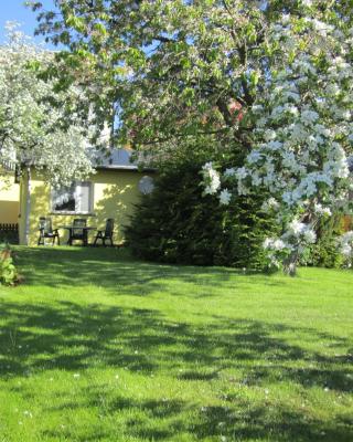 Ferienhaus am Schilfgürtel