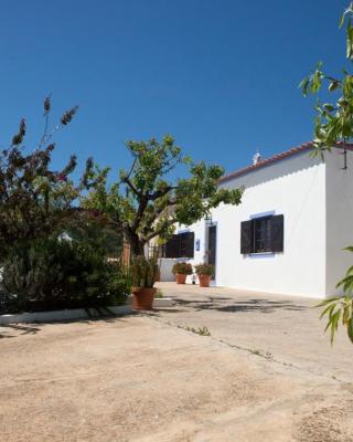 Cozy Algarve Home with Vineyard View Near Beaches