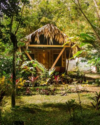 Wildlife Lodge Cahuita