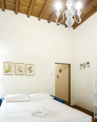 Roomy and elegant apartment by Piazza Pitti