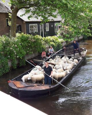 Farmhouse Lodge Giethoorn