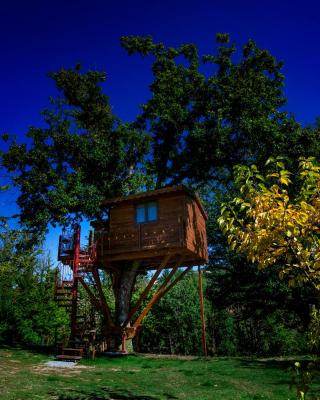 Casa sull'albero Bocchineri