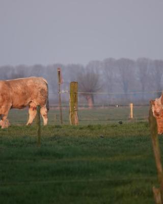 B&B Bij Bronckhorst