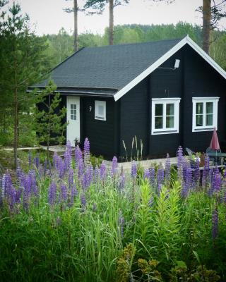 Fröya Timber Cottage