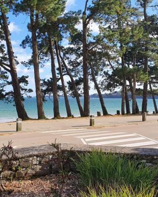 Vacances Ô Cap Coz - Jardin vue mer et piscine - Résidence Cap Azur Fouesnant