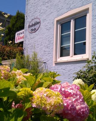 Pension Elisabeth - Rooms & Apartments