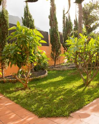 ENERGY GARDEN