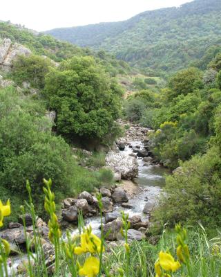 Tourism in the village
