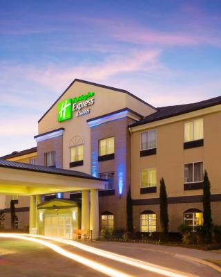 Holiday Inn Express Hotel and Suites DFW-Grapevine by IHG