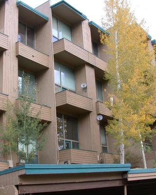Homestake Condos by Vail Realty