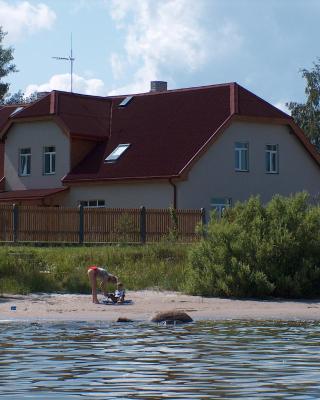 Viesu nams Zivtiņi
