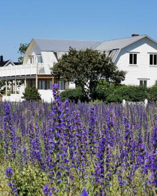 Villa Neptuni lägenhet och rumsuthyrning