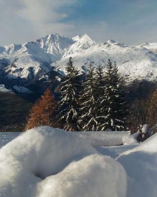 les 3 marmottes - Les Arolles