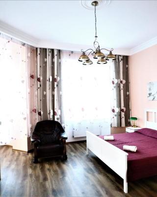 Apartment on Krale Jiriho 2