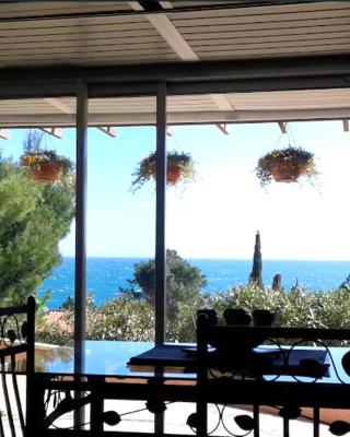 Studio a Collioure a 300 m de la plage avec vue sur la mer jardin clos et wifi