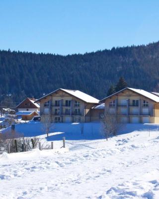 Appartement accueillant à Xonrupt-Longemer 70 m² avec jardin privatif