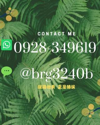 台東市區 童年時光六人包棟民宿 附廚房及電動麻將